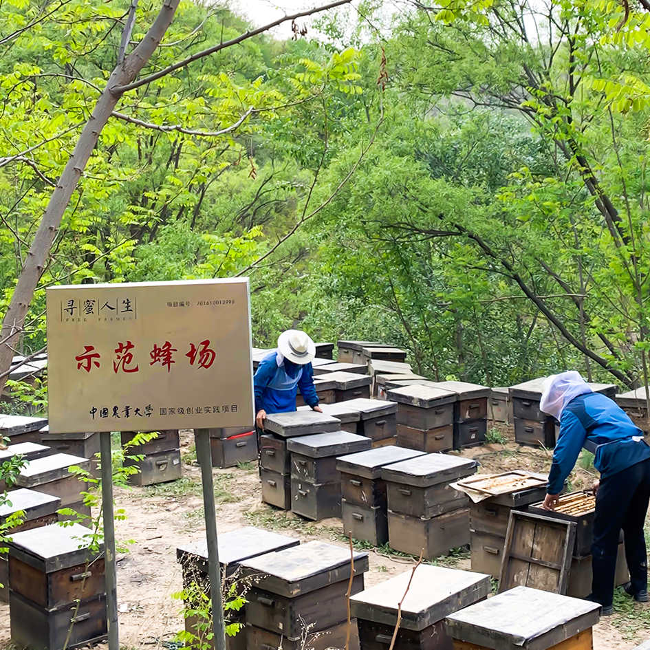 自有蜂场
